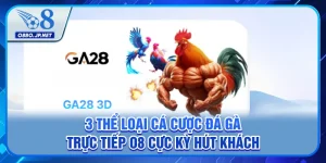 3 Thể Loại Cá Cược Đá Gà Trực Tiếp O8 Cực Kỳ Hút Khách