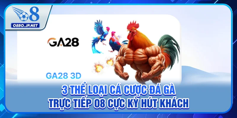 3 Thể Loại Cá Cược Đá Gà Trực Tiếp O8 Cực Kỳ Hút Khách
